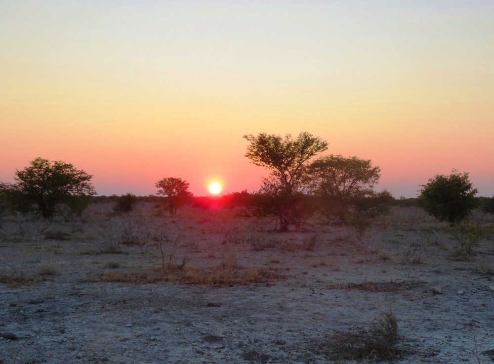 Namibie: NP Etosha 5