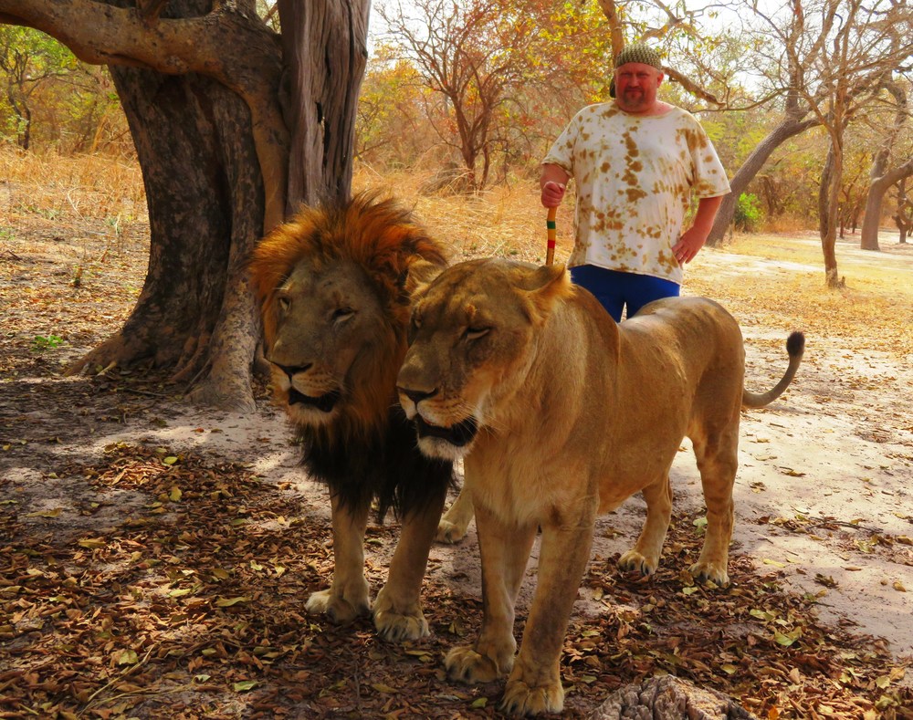 Senegal: Procházka se lvy