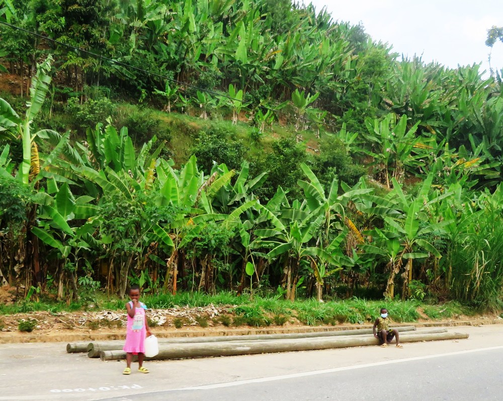 Rwanda: cesta horami